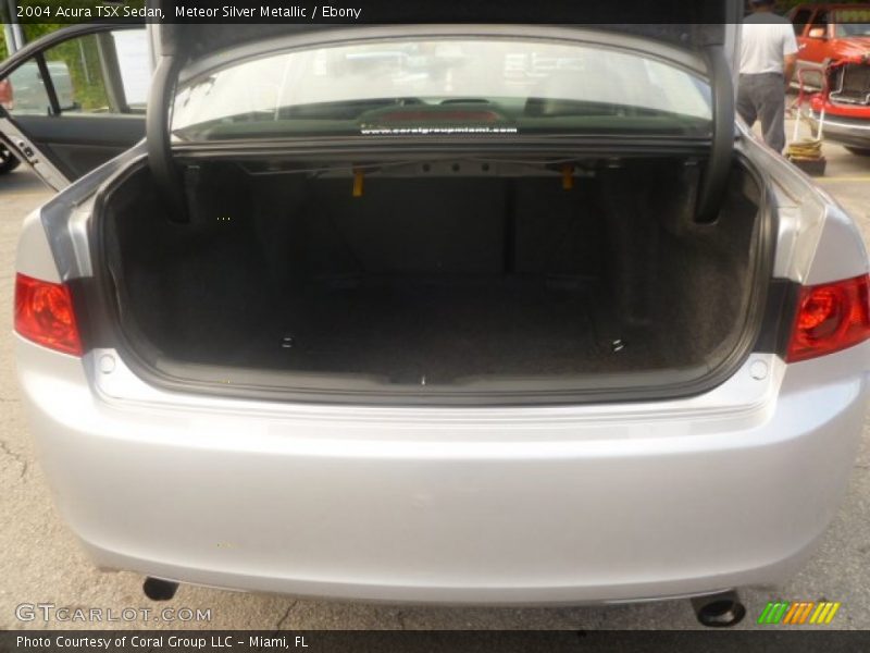 Meteor Silver Metallic / Ebony 2004 Acura TSX Sedan