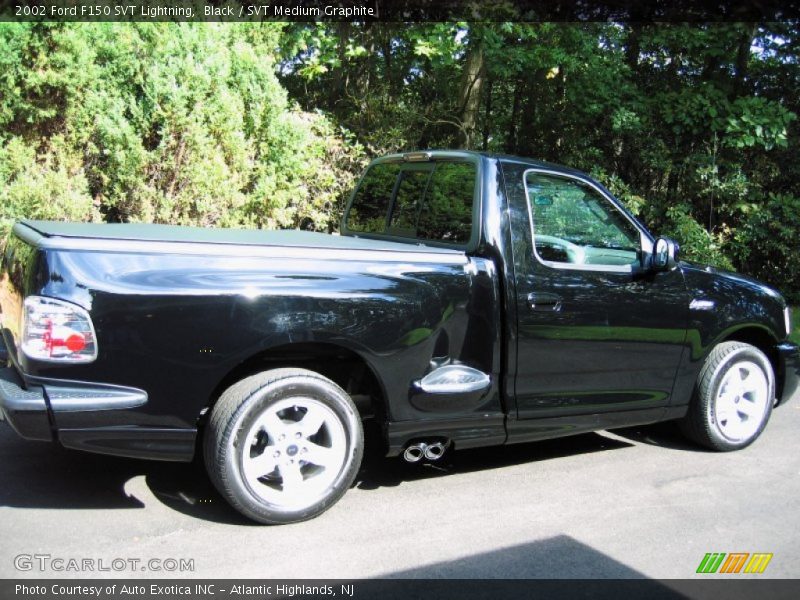 Black / SVT Medium Graphite 2002 Ford F150 SVT Lightning