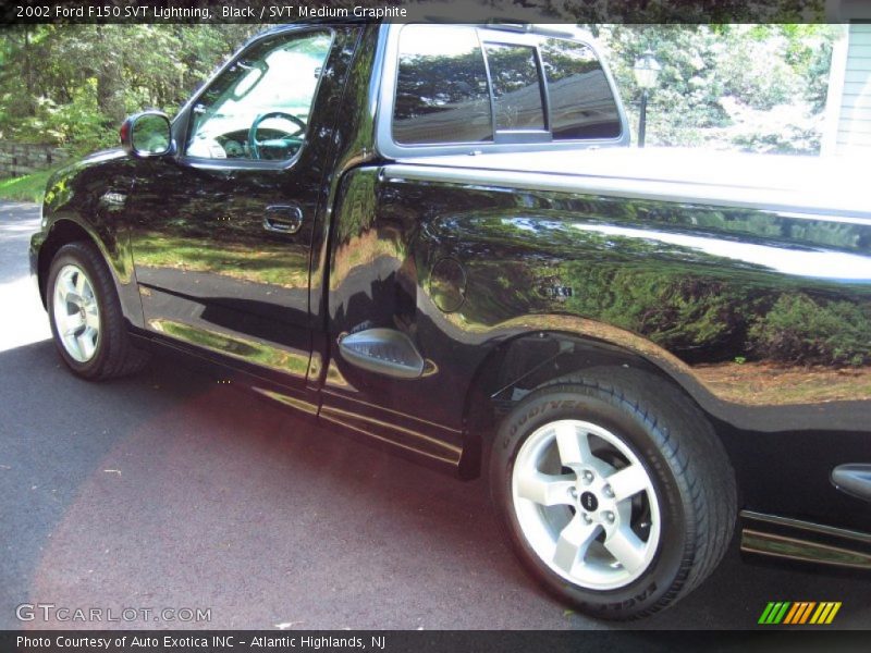 Black / SVT Medium Graphite 2002 Ford F150 SVT Lightning