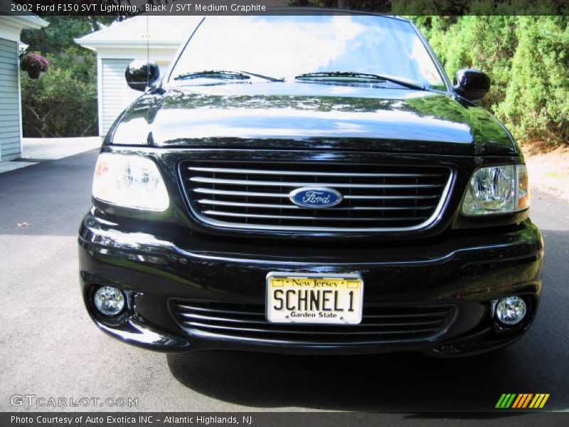 Black / SVT Medium Graphite 2002 Ford F150 SVT Lightning