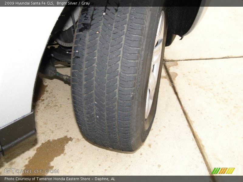 Bright Silver / Gray 2009 Hyundai Santa Fe GLS