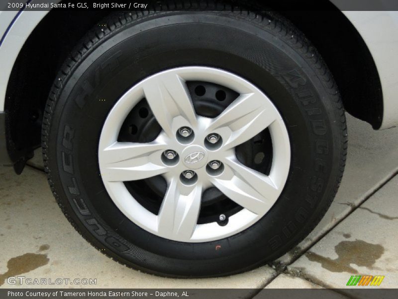 Bright Silver / Gray 2009 Hyundai Santa Fe GLS