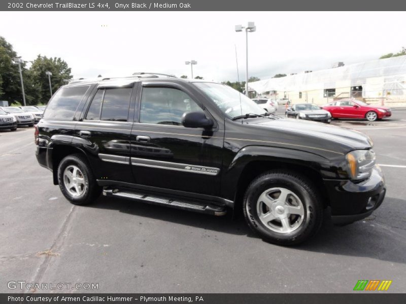 Onyx Black / Medium Oak 2002 Chevrolet TrailBlazer LS 4x4