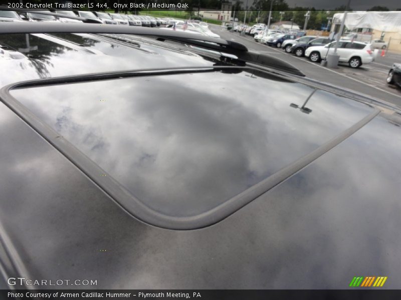 Onyx Black / Medium Oak 2002 Chevrolet TrailBlazer LS 4x4
