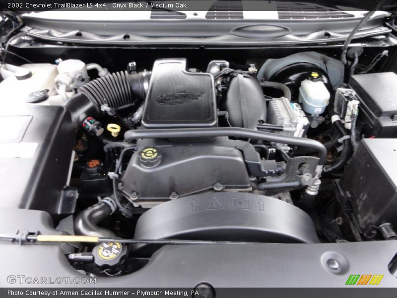 Onyx Black / Medium Oak 2002 Chevrolet TrailBlazer LS 4x4