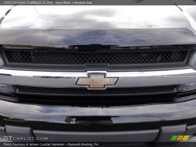 Onyx Black / Medium Oak 2002 Chevrolet TrailBlazer LS 4x4