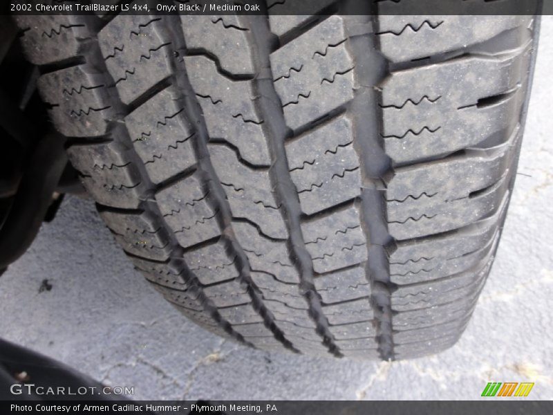 Onyx Black / Medium Oak 2002 Chevrolet TrailBlazer LS 4x4