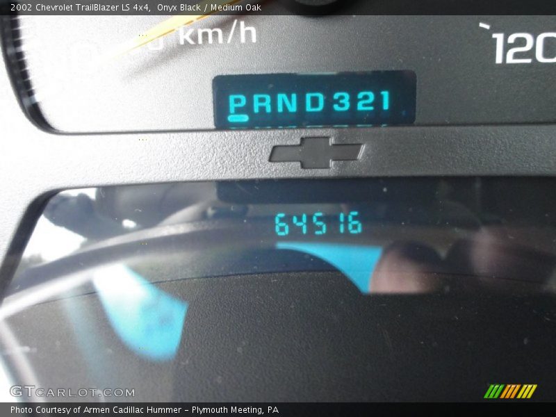 Onyx Black / Medium Oak 2002 Chevrolet TrailBlazer LS 4x4