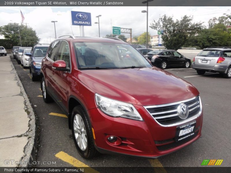 Wild Cherry Metallic / Sandstone 2009 Volkswagen Tiguan SE 4Motion