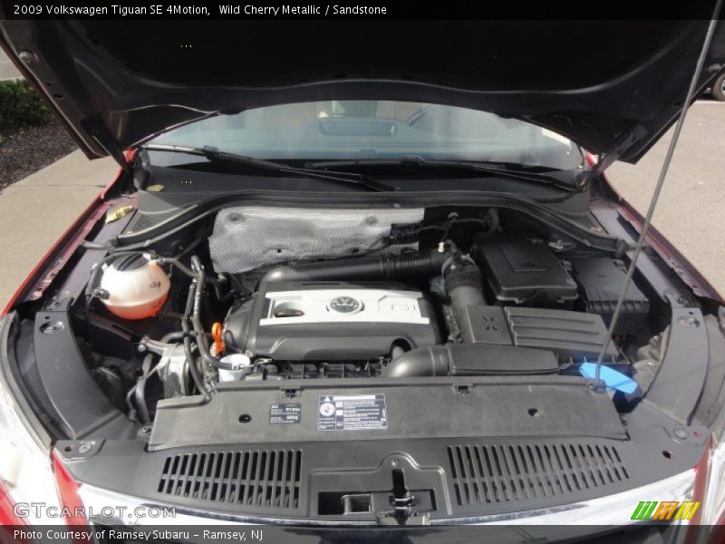Wild Cherry Metallic / Sandstone 2009 Volkswagen Tiguan SE 4Motion
