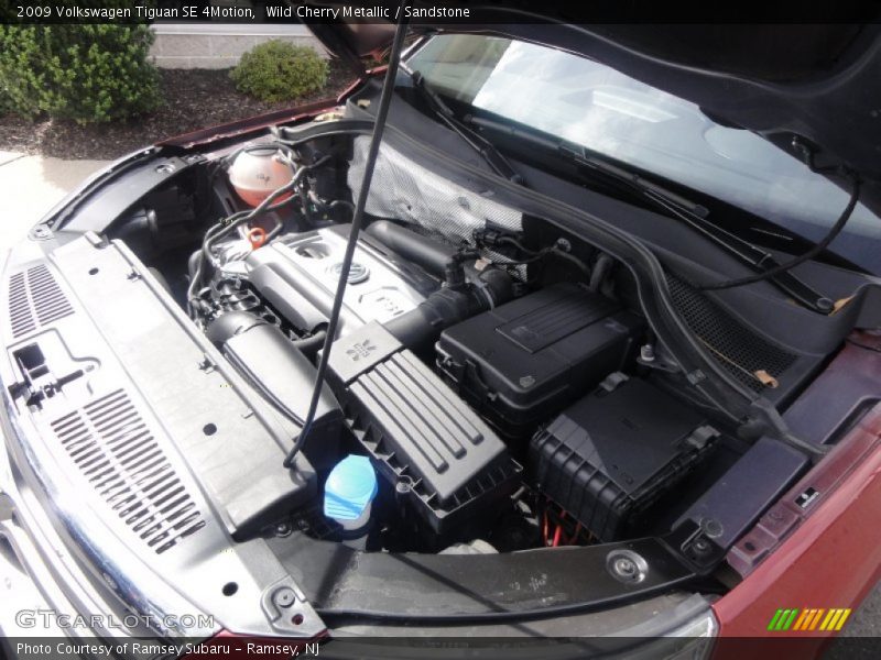 Wild Cherry Metallic / Sandstone 2009 Volkswagen Tiguan SE 4Motion