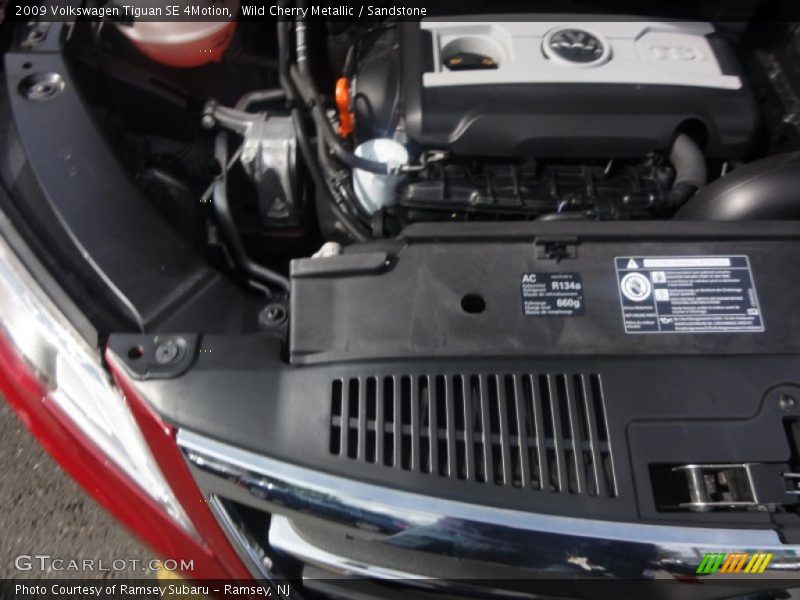 Wild Cherry Metallic / Sandstone 2009 Volkswagen Tiguan SE 4Motion