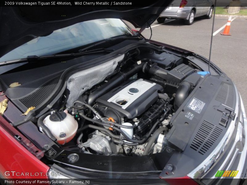 Wild Cherry Metallic / Sandstone 2009 Volkswagen Tiguan SE 4Motion