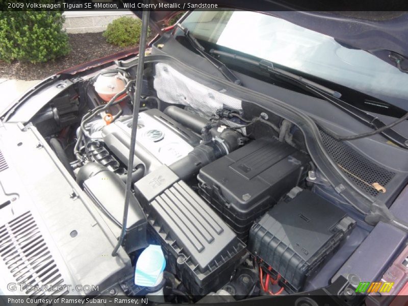 Wild Cherry Metallic / Sandstone 2009 Volkswagen Tiguan SE 4Motion