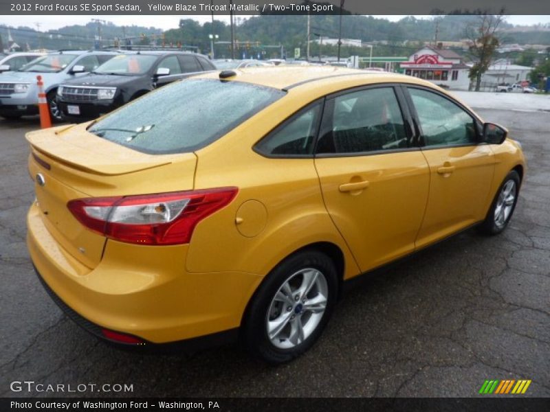 Yellow Blaze Tricoat Metallic / Two-Tone Sport 2012 Ford Focus SE Sport Sedan
