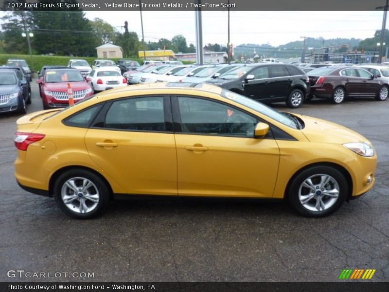 Yellow Blaze Tricoat Metallic / Two-Tone Sport 2012 Ford Focus SE Sport Sedan