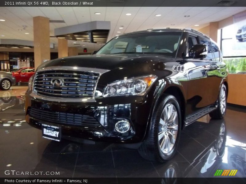 Black Obsidian / Wheat 2011 Infiniti QX 56 4WD