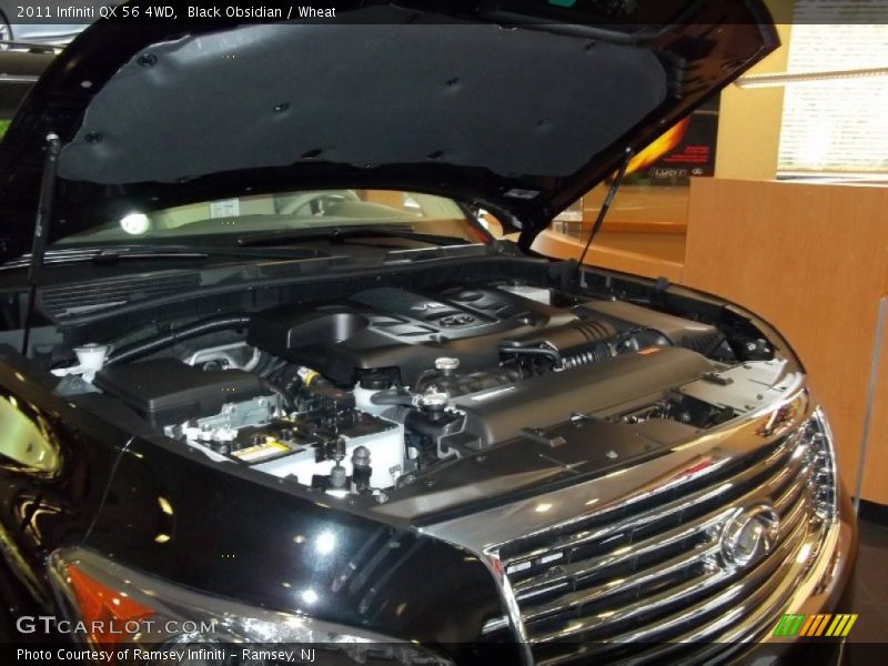 Black Obsidian / Wheat 2011 Infiniti QX 56 4WD