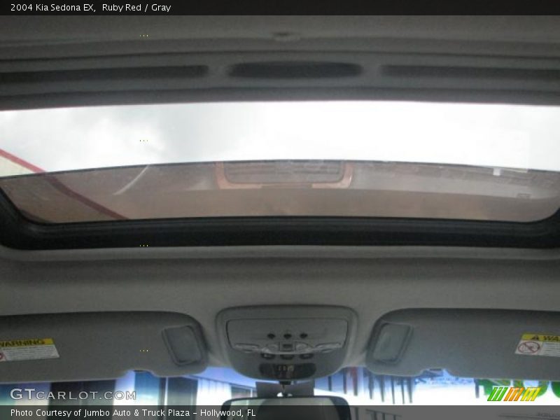 Ruby Red / Gray 2004 Kia Sedona EX