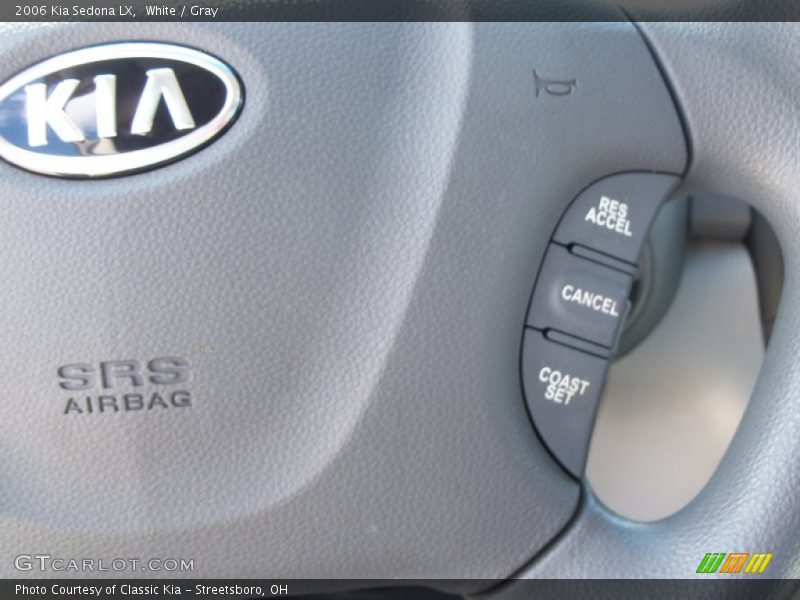 White / Gray 2006 Kia Sedona LX