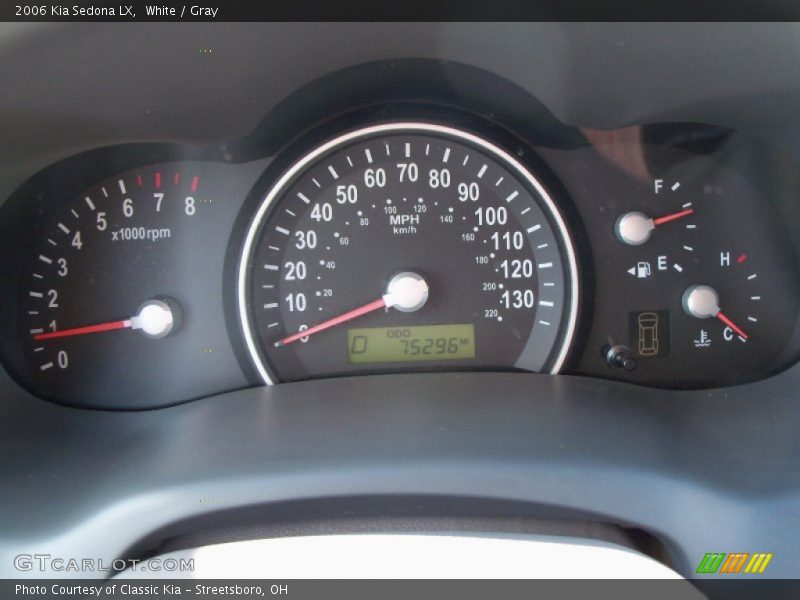 White / Gray 2006 Kia Sedona LX