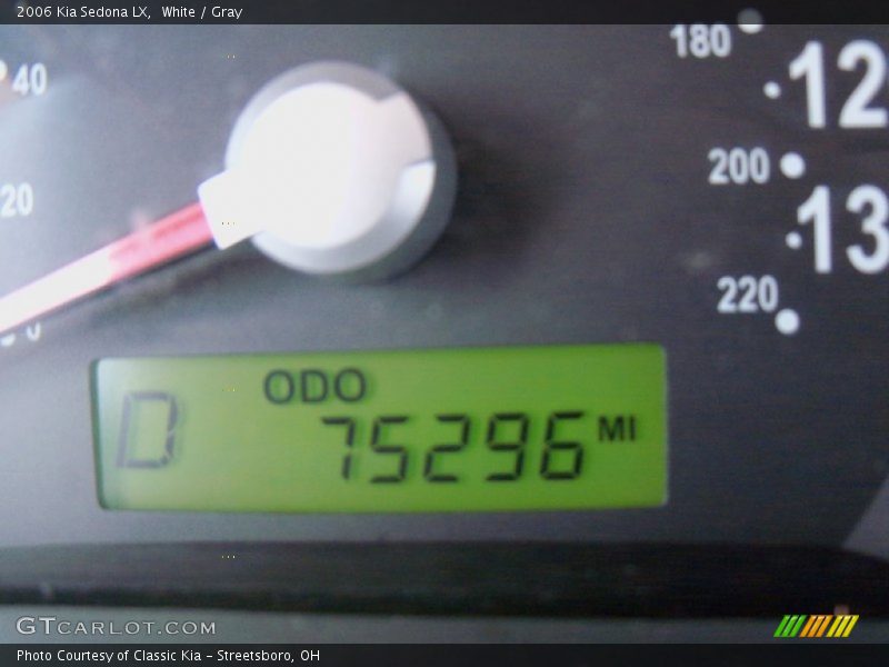 White / Gray 2006 Kia Sedona LX