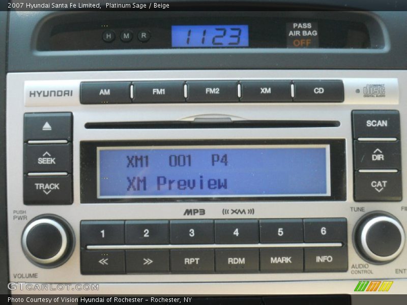 Platinum Sage / Beige 2007 Hyundai Santa Fe Limited