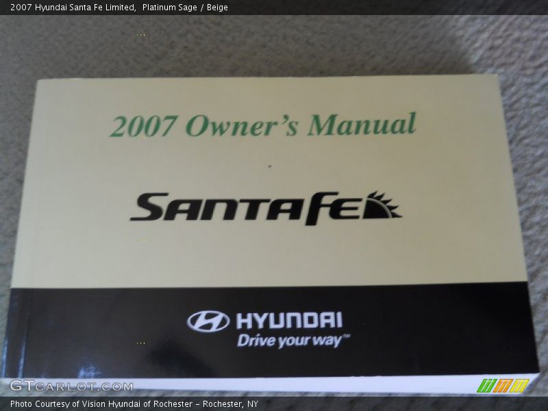 Platinum Sage / Beige 2007 Hyundai Santa Fe Limited