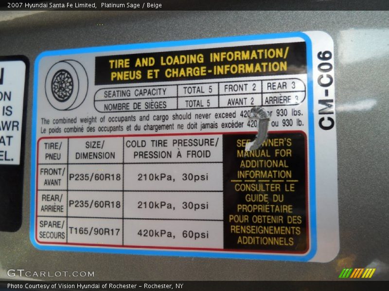 Platinum Sage / Beige 2007 Hyundai Santa Fe Limited