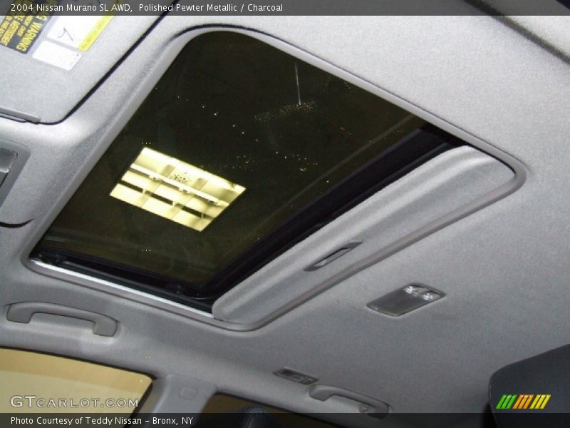 Polished Pewter Metallic / Charcoal 2004 Nissan Murano SL AWD