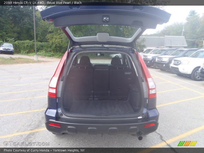Royal Blue Pearl / Black 2009 Honda CR-V LX 4WD