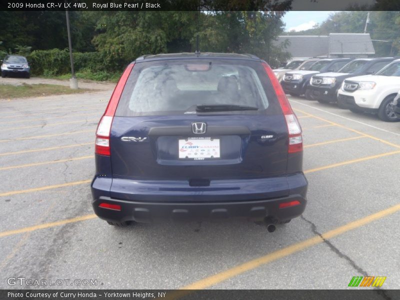 Royal Blue Pearl / Black 2009 Honda CR-V LX 4WD