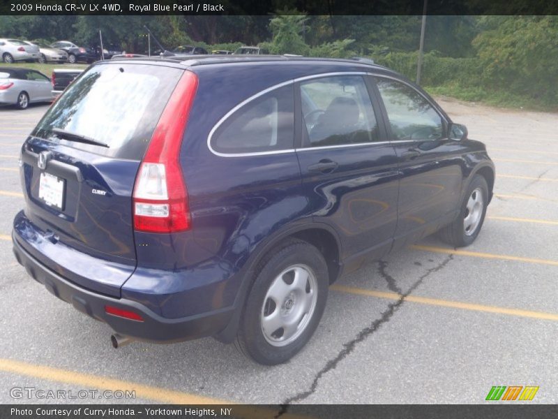 Royal Blue Pearl / Black 2009 Honda CR-V LX 4WD