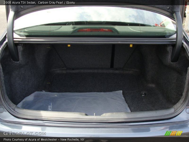 Carbon Gray Pearl / Ebony 2008 Acura TSX Sedan
