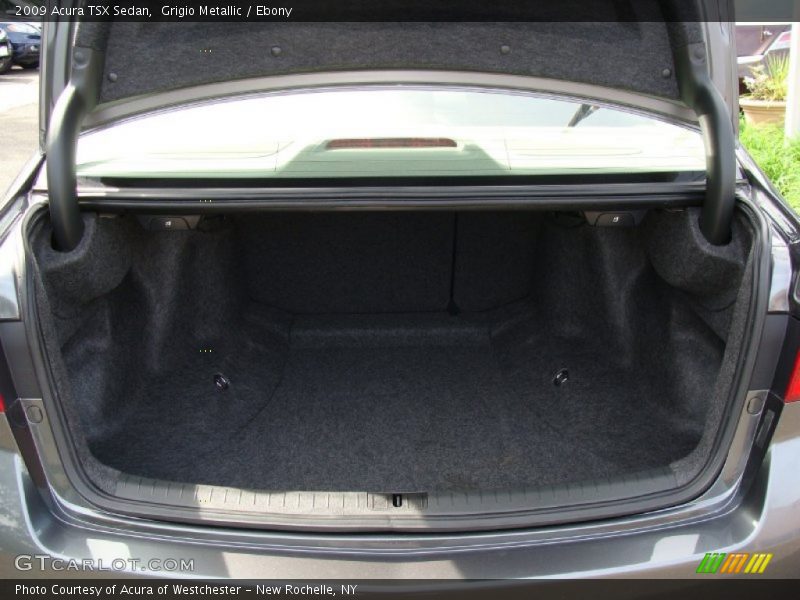 Grigio Metallic / Ebony 2009 Acura TSX Sedan