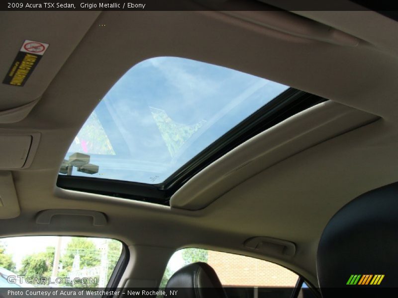 Grigio Metallic / Ebony 2009 Acura TSX Sedan