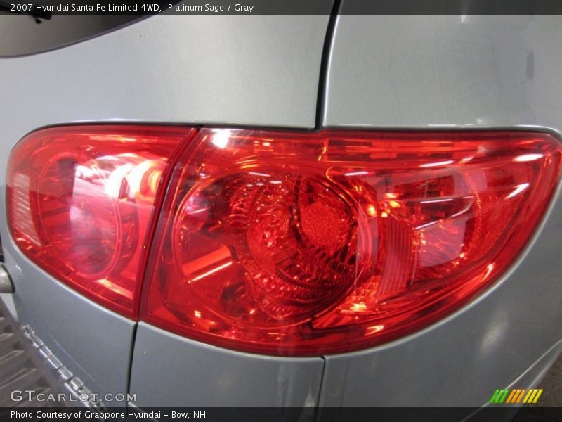 Platinum Sage / Gray 2007 Hyundai Santa Fe Limited 4WD