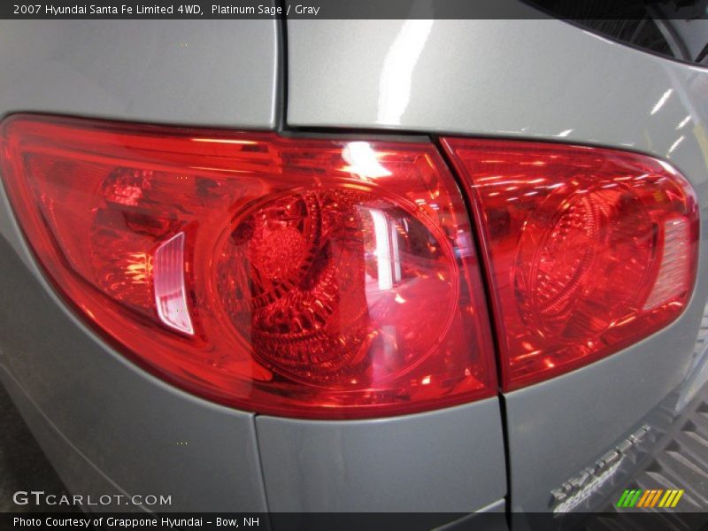 Platinum Sage / Gray 2007 Hyundai Santa Fe Limited 4WD