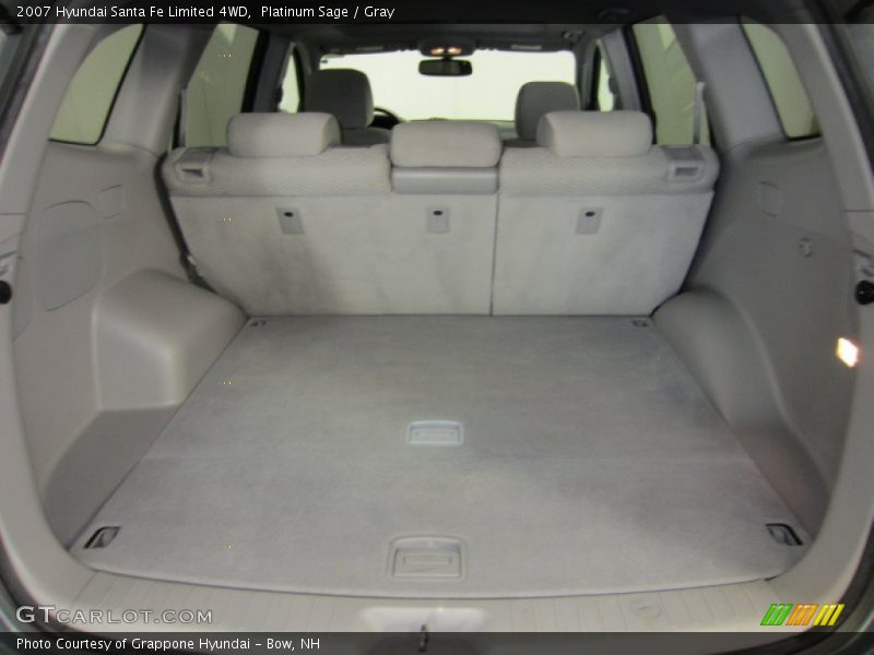 Platinum Sage / Gray 2007 Hyundai Santa Fe Limited 4WD