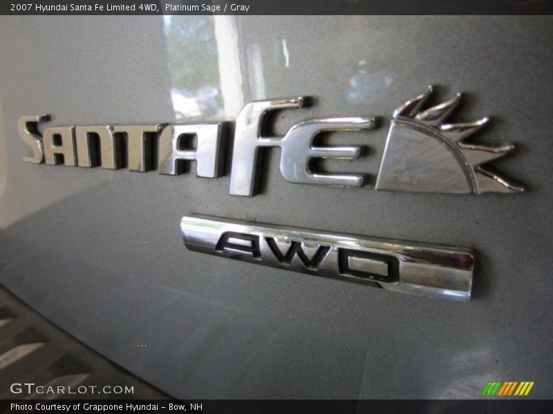 Platinum Sage / Gray 2007 Hyundai Santa Fe Limited 4WD