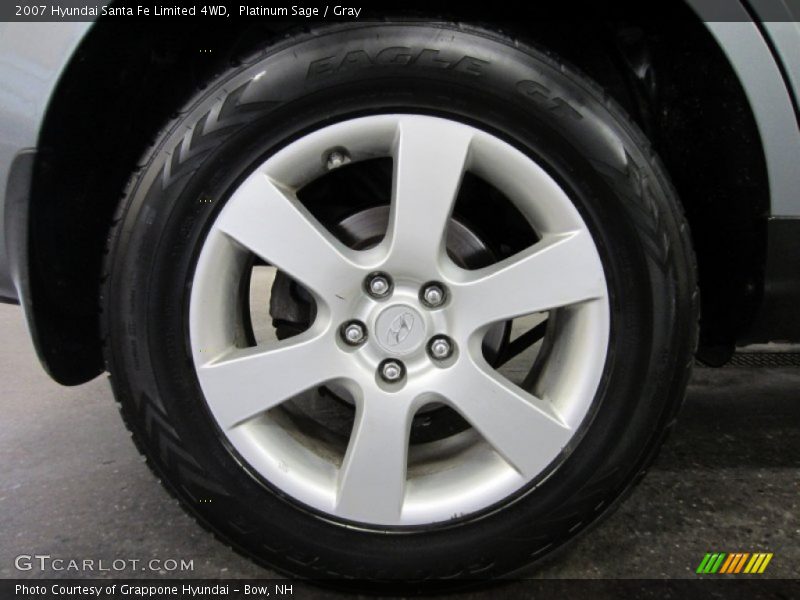 Platinum Sage / Gray 2007 Hyundai Santa Fe Limited 4WD