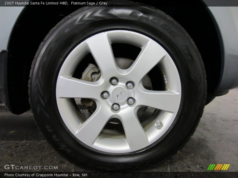 Platinum Sage / Gray 2007 Hyundai Santa Fe Limited 4WD