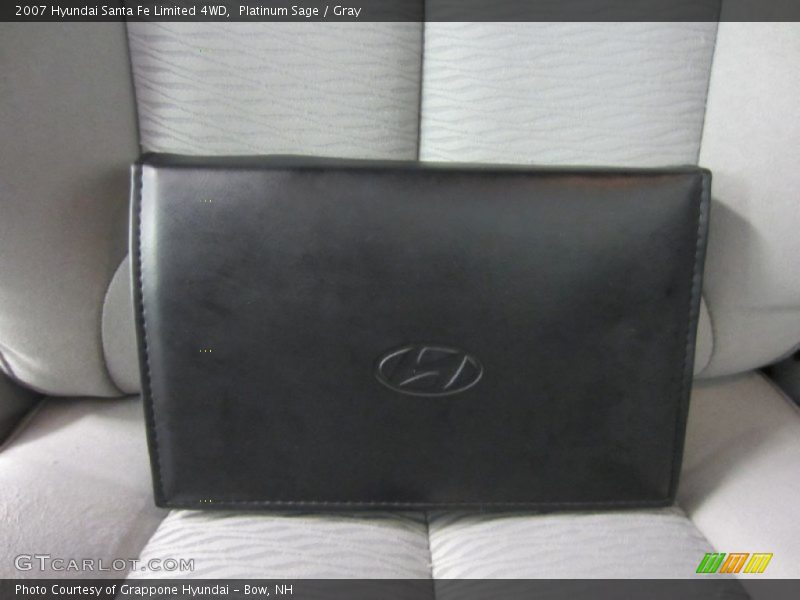 Platinum Sage / Gray 2007 Hyundai Santa Fe Limited 4WD