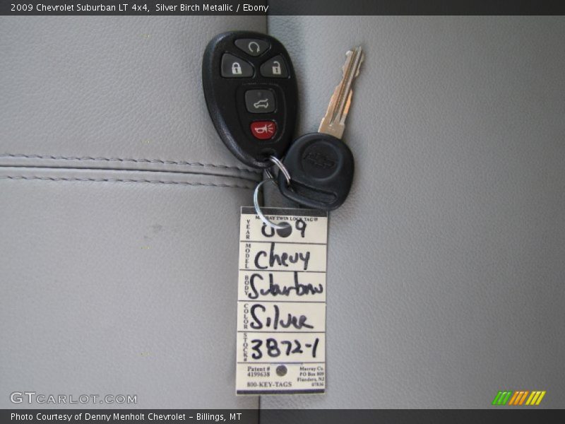 Silver Birch Metallic / Ebony 2009 Chevrolet Suburban LT 4x4