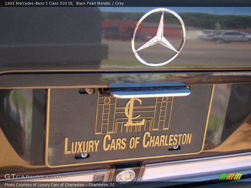 Black Pearl Metallic / Grey 1993 Mercedes-Benz S Class 300 SE