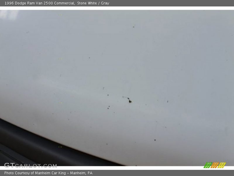 Stone White / Gray 1996 Dodge Ram Van 2500 Commercial