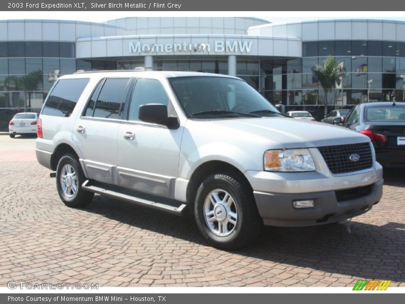 Silver Birch Metallic / Flint Grey 2003 Ford Expedition XLT