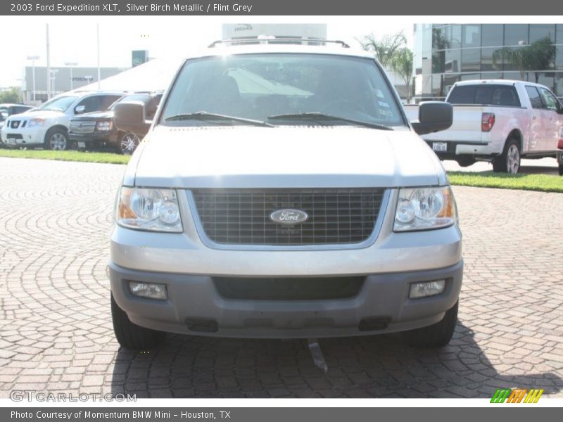 Silver Birch Metallic / Flint Grey 2003 Ford Expedition XLT