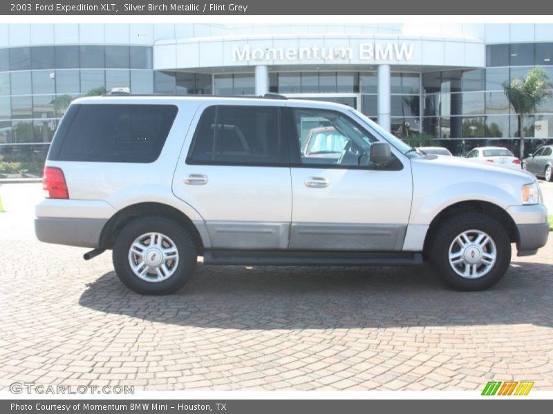 Silver Birch Metallic / Flint Grey 2003 Ford Expedition XLT