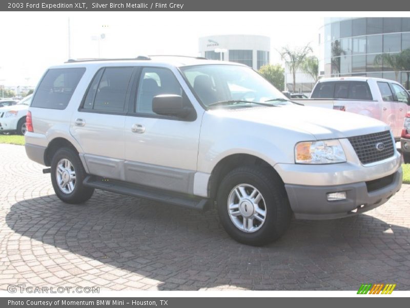 Silver Birch Metallic / Flint Grey 2003 Ford Expedition XLT